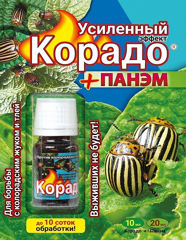 Корадо+Панэм, Усиленный эффект